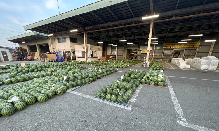 東根青果市場の会社概要